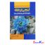 کتاب گنجی در خانه اثر صبا سالمی