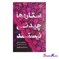 كتاب ستاره ها چیدنی نیستند اثر محمد علی حبیب اللهیان انتشارات معارف