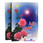 کتاب دست دوم مژده ظهور جلد 1 و 2 اثر سید سلیمان مدنی تنکابنی