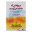 کتاب کتاب دروغ‌هایی که به خود می‌گوییم اثر جان فردریکسون انتشارات آزرمیدخت