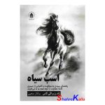 کتاب اسب سیاه اثر تاد رز ، اوگی اوگاس انتشارات آبیژ